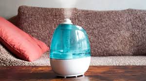 best humidifier for garage