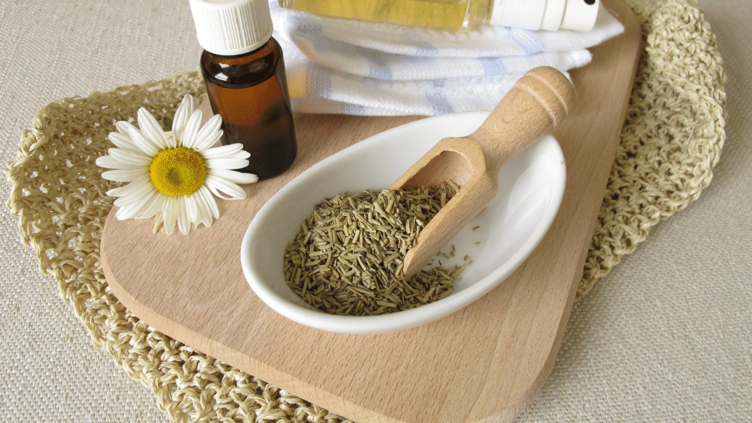 How to Keep Bugs Out of Garage (Easy Methods) Garage Expert