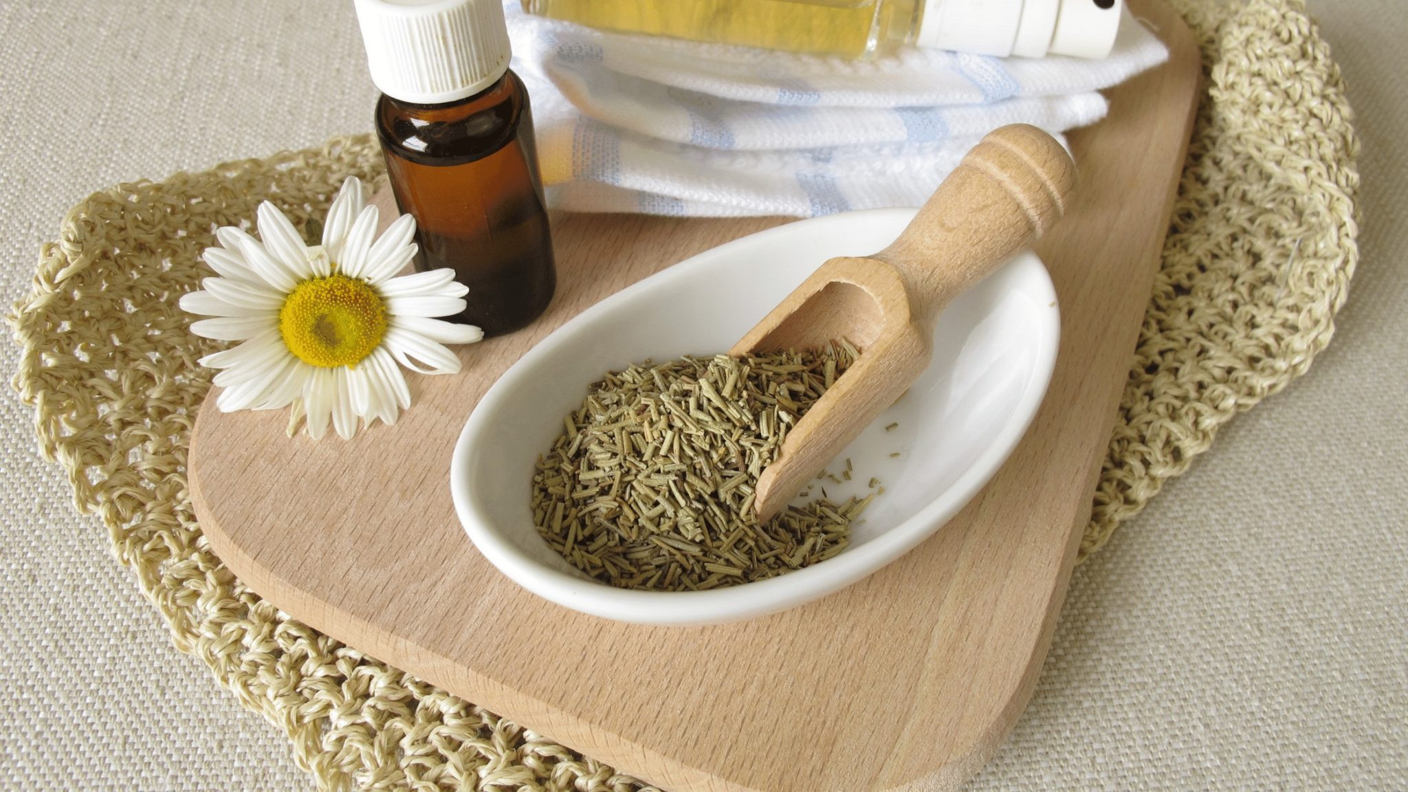 How to Keep Bugs Out of Garage (Easy Methods) Garage Expert