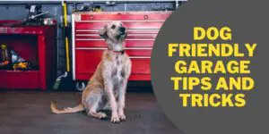 Dog friendly garage tips and tricks