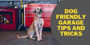 Dog friendly garage tips and tricks