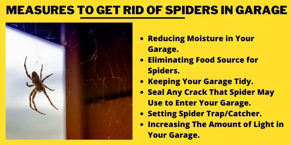  Measures to Get Rid Of Spiders in Garage