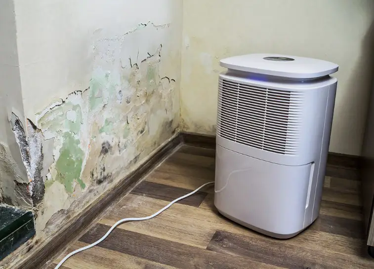 Best Air Purifier for Garage 2022 Reviews and Buying Guide
