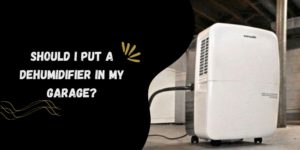 Should I put a Dehumidifier in my Garage?