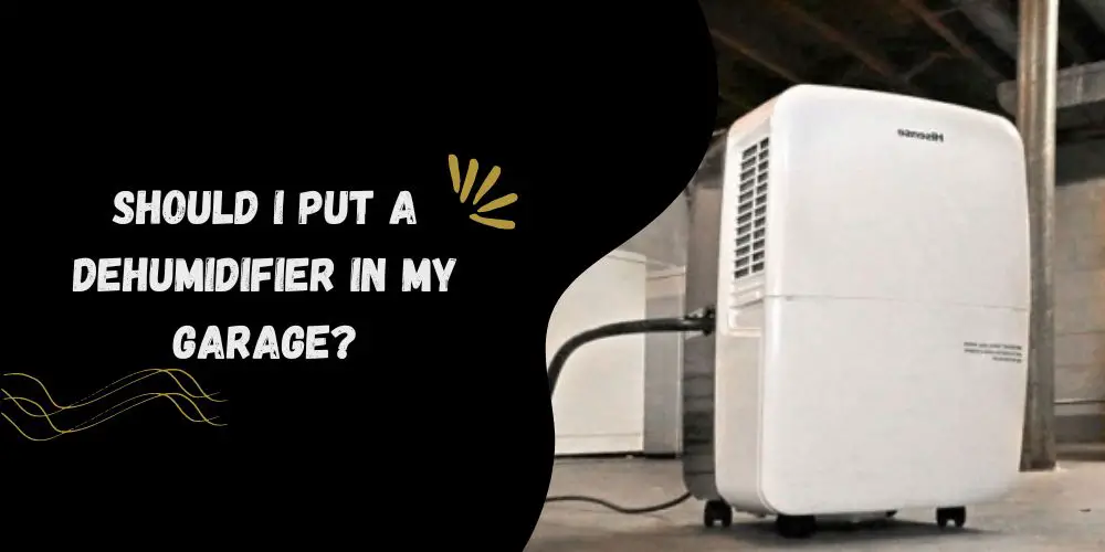 Should I Put a Dehumidifier In My Garage? Easy Way to Know
