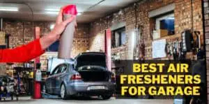 best air fresheners for garage