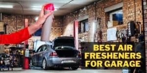 best air fresheners for garage